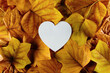 © Nikola - Creative autumn layout with heart white paper note. Beautiful orange autumn leaves