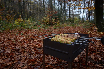 Wall Mural - Late autumn forest and barbecue with barbecue