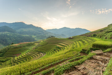 Terraced rice paddy field landscape of Mu Cang Chai, Yenbai, Northern Vietnam