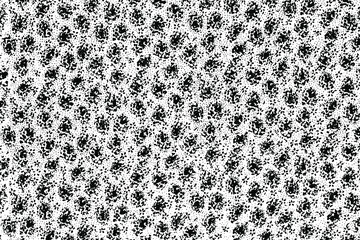 Aufkleber - Grunge surface texture with small spots similar to small flowers. Abstract monochrome background. Vector illustration. Overlay template.