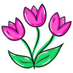 Wall Mural - Tulip Flower 