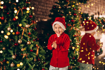 Wall Mural - The boy has a santa hat on his head. In the background there is a large decorated Christmas tree and a large mirror. Christmas mood