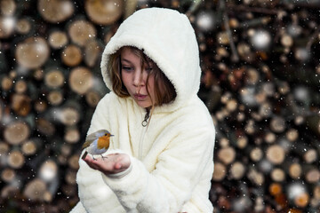 Wall Mural - beautiful girl under the snow with a red throat lying in her hand