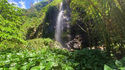 Wall Mural - Anse des Cascades waterfalls in Sainte-Rose on Reunion Island