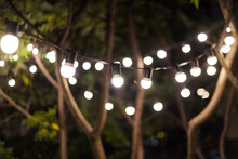 Blurred Background, Backyard Illumination, Light In The Evening Garden, Electric Lanterns With Round Diffuser. Lamp Garland Of Light Bulbs On A Tree Branch Among The Leaves, Illuminate Night Scene.