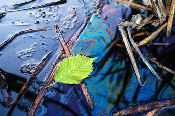 Ecological catastrophy. Oil slick on a natural reservoir. Close-up