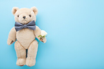 Serious brown teddy bear with bow tie holding white small rose. Empty place for inspirational, sentimental text, lovely quote or sayings on light blue table background. Pastel color. Top down view.