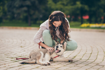 Poster - Photo of nice positive curly hair woman play favorite lovely pet dog wear striped shirt green pants in park outdoors