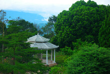 White-colored Gazebo In A Garden Captured During The Daytime