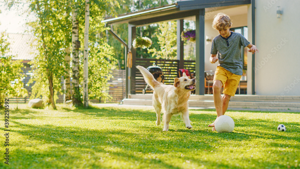 Handsome Young Boy Plays Soccer with Happy Golden Retriever Dog at the Backyard Lawn. He Plays Football and Has Lots of Fun with His Loyal Doggy Friend. Idyllic Summer House. - obrazy, fototapety, plakaty 