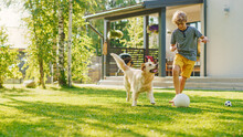 Handsome Young Boy Plays Soccer With Happy Golden Retriever Dog At The Backyard Lawn. He Plays Football And Has Lots Of Fun With His Loyal Doggy Friend. Idyllic Summer House.