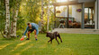 © Gorodenkoff - Handsome Man Plays Catch with Happy Brown Labrador Retriever Dog on the Backyard Lawn. Man Has Fun with Loyal Nobel Pedigree Dog Outdoors in Summer House Backyard.