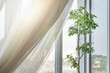 © Bonsales - white transparent curtain hanging on window frame with house plant on windowsill