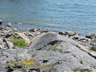 Wall Mural - View of rocks and blue sea