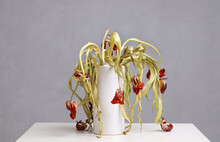 Withered Tulips In Vase
