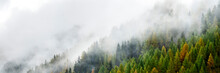 Misty Alpine Forest In Autumn