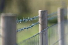 New Sharp Barbed Wire Fence With Smooth Blurred Background. Copy Space