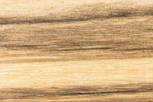 Wood Cross Section Texture Background
