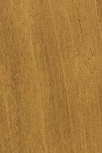 Wood Cross Section Texture Background