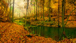 jesień nad rzeką Łyną na Warmii w północno-wschodniej Polsce