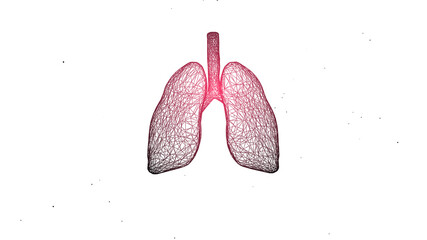 3d rendering of engraved illustration of lungs structure of human with its functioning parts.