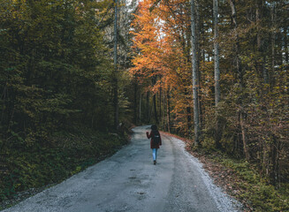 Poster - Girl with a bag walking down the forest road