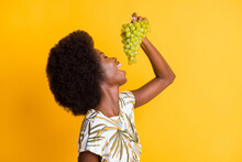 Profile Portrait Of Cute Optimistic Curly Hair Lady Eating Green Grapes Dress Bright T-shirt Isolated On Yellow Background