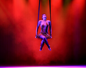 Aerialist perform live in the show.