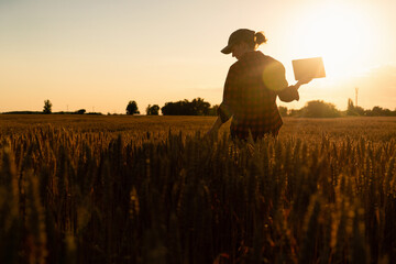 Poster - A woman farmer examines the field of cereals and sends data to the cloud from the tablet. Smart farming and digital agriculture.	