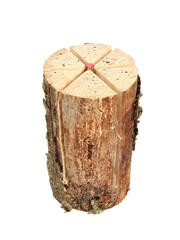 Wall Mural - Heap of a log with a built in lighter isolated on a white