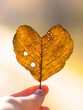 Jesienny liść w kształcie serca 