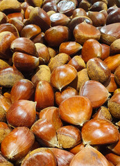 Poster - Closeup of chestnut bunch