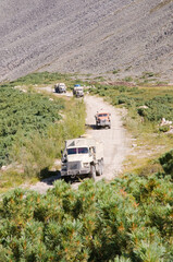 Wall Mural - Column of gasoline tank trucks transports diesel fuel in a mountainous area, to a remote industrial region of Eastern Siberia, where natural gold is mined.