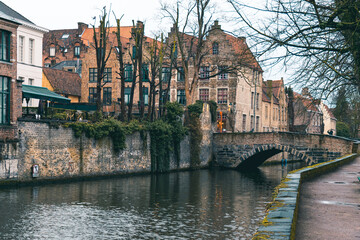 Poster - Closeup shot of multicolored houses and canal in Belgium