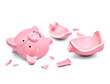 coin finance saving money piggybank business crisis banking piggy bank pig broken poverty recession