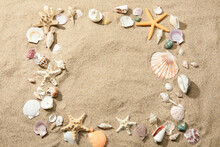 Closeup Of A Variety Of Starfishes And Seashells Placed In A Circle On The Sand Near The Water