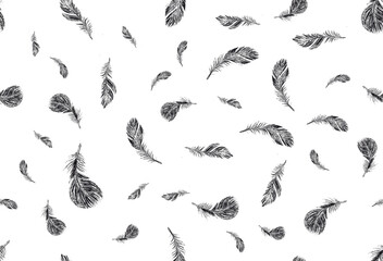 Wall Mural - set of bird feathers. hand drawn sketch style.