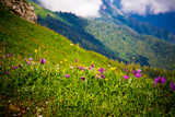 Fototapeta Natura - Beautiful mountain landscape at Caucasus mountains with clouds and blue sky
