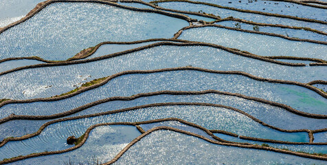 Wall Mural - Rice terraces in Yuanyang County. Yunnan Province. China.