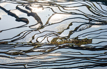 Rice terraces in Yuanyang County. Yunnan Province. China.