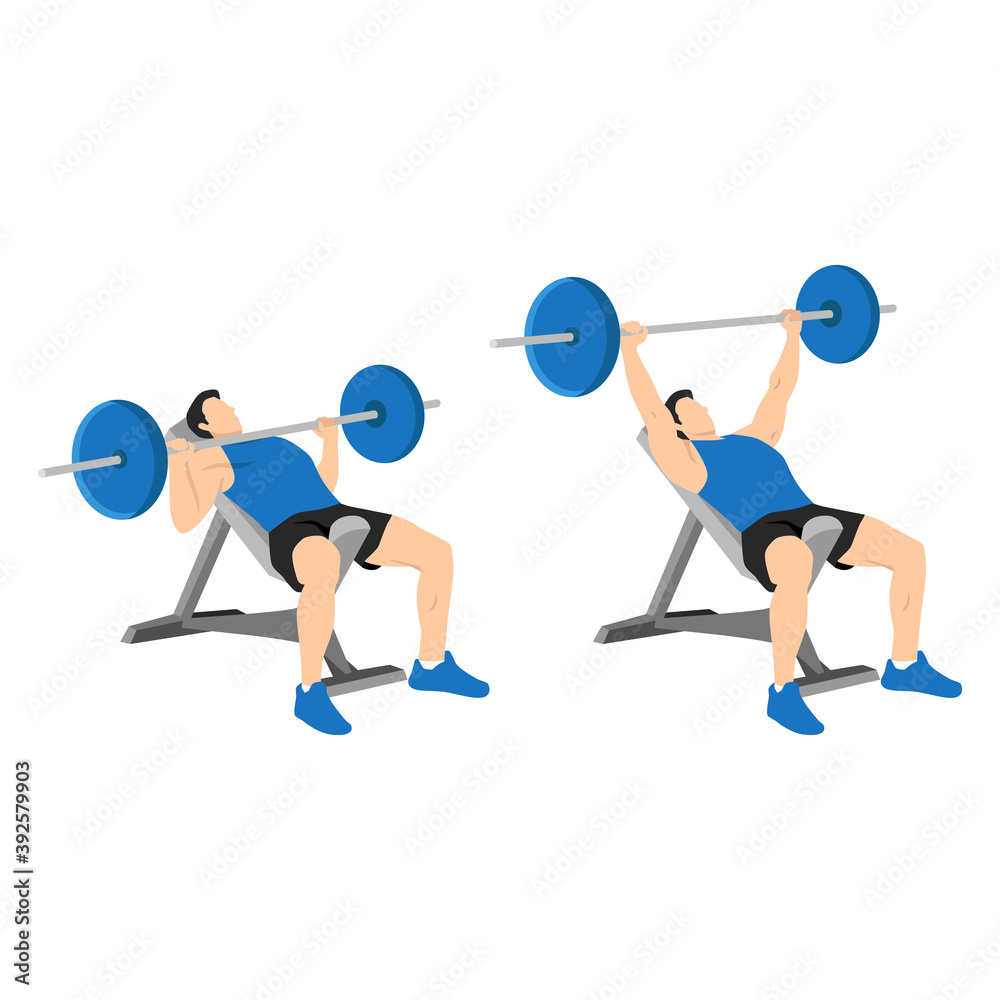 Incline barbell bench press exercise. Flat vector illustration isolated ...