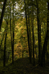  Les gorges de l'Areuse 26