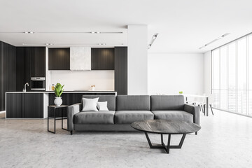 Grey kitchen with grey sofa in living room, new furniture in studio apartment