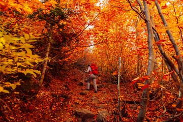 Hiker woman with backpack on the trail and autumnal forest.