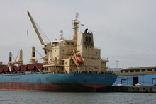 Old Container Ship, Cruise Around Port Adelaide, Dolphin Watching Tour, South Australia
