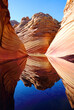 The WAVE with Water Reflections #1 (vertical) after flooding rain in Vermilion Cliffs National Monument, Arizona, USA