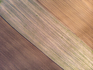 Wall Mural - Three types of soil, cultivated in the fall, photographed from above