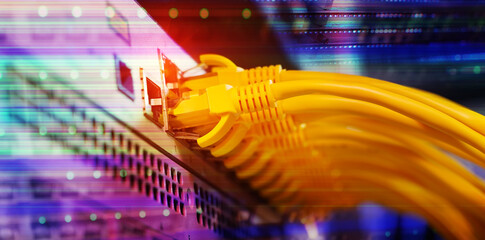Server rack with blue and red internet patch cord cables connected to black patch panel in data server room