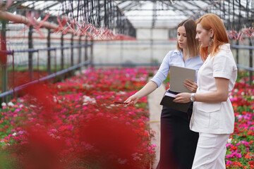 Greenhouse owner presenting flowers options to a potential customer retailer. They have a business discussion, planning future collaboration while noting and negotiating conditions