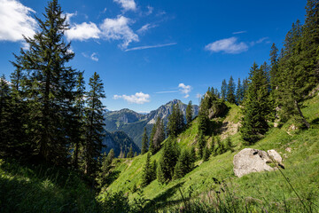 Wall Mural - In den Ammergauer Alpen